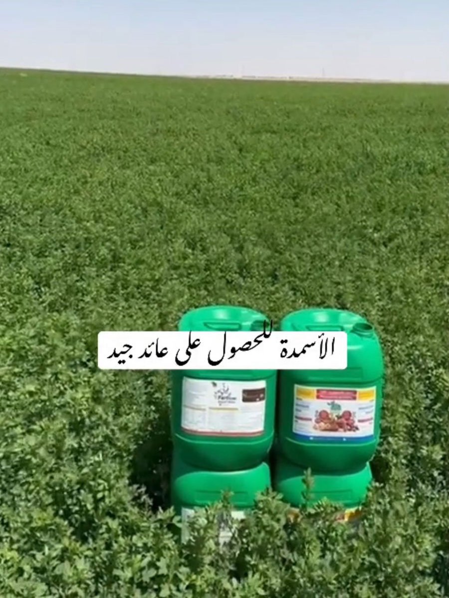 Experiments – Samad Alshamal Factory
