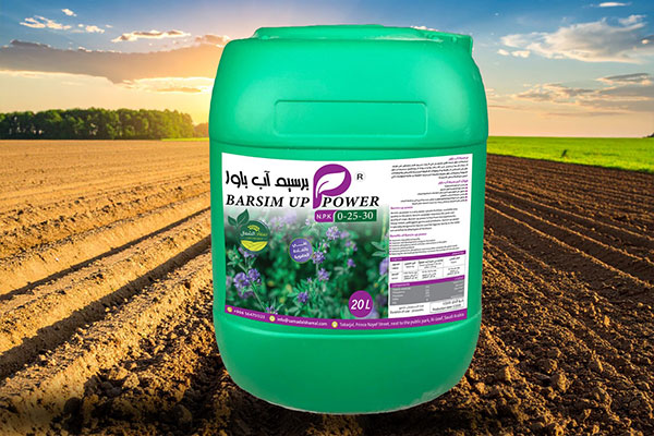 برسيم اب باور