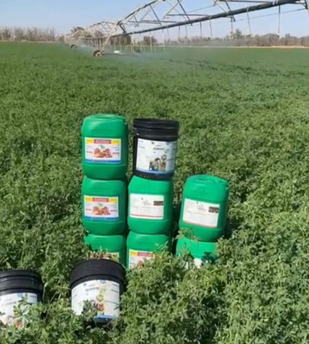 سماد في طبرجل