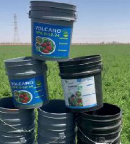 مصنع اسمدة في طبرجل